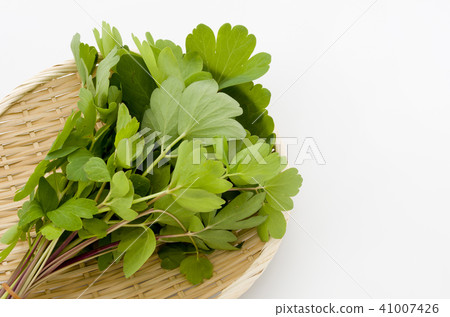 Longevity grass (Button bow fish) 41007426