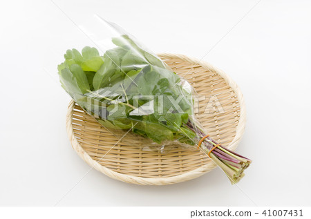 長壽草（鈕扣弓）袋 41007431