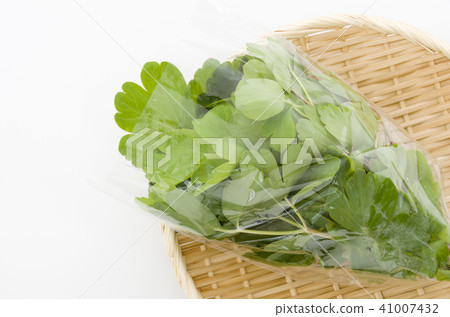 長壽草(鈕扣弓)袋 長壽草(鈕扣弓)袋 41007432