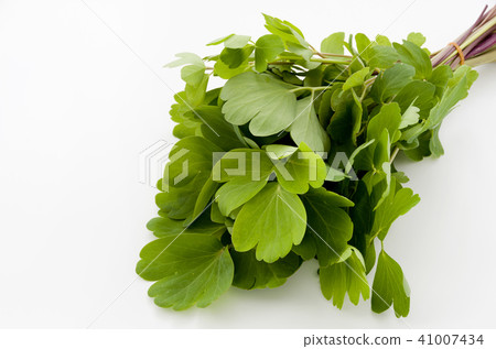 Longevity grass (Button bow fish) Longevity grass (Button bow fish) 41007434