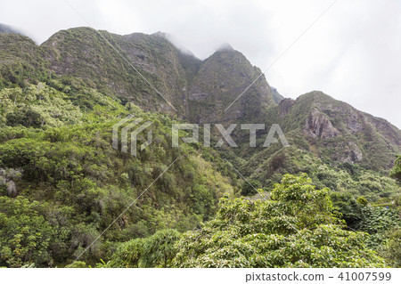 Lee Ao Valley State Park, Maui, Hawaii, USA 41007599