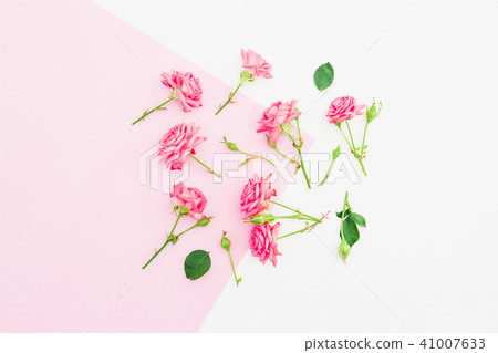 Pink and white background with pastel roses flower 41007633