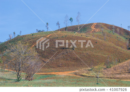 Landscape viewpoint of Grass Mountain. 41007926