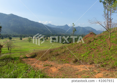 Landscape viewpoint of Grass Mountain. 41007931