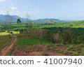 Landscape viewpoint of Grass Mountain. 41007940