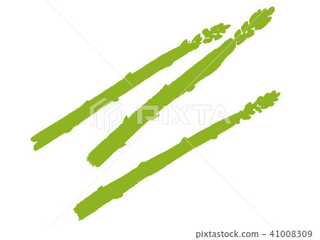 Asparagus watercolor painting Asparagus watercolor painting 41008309