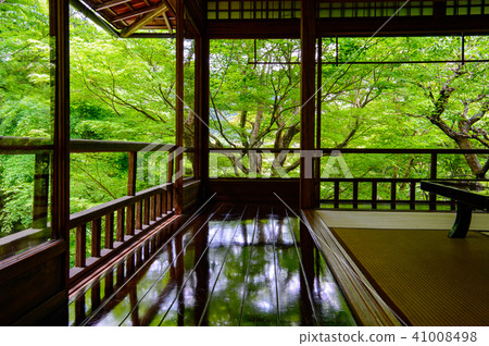 Furugen Rurikoin Furugen Rurikoin 41008498