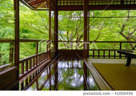 Furugen Rurikoin Furugen Rurikoin 41008499