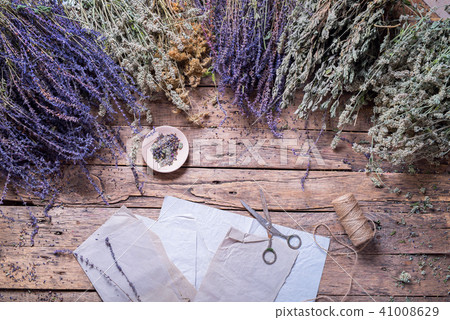 Gathering Wild Herbs Medicinal Alternative 41008629