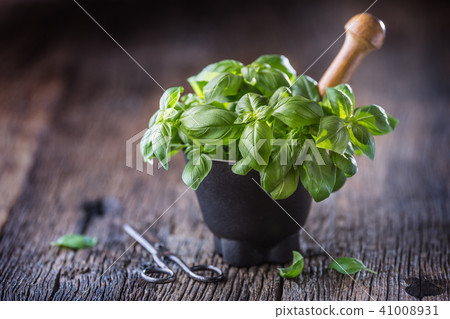 Fres basil leaves in mortar on wooden table Fres basil leaves in mortar on wooden table 41008931