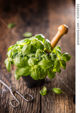 Fres basil leaves in mortar on wooden table Fres basil leaves in mortar on wooden table 41008932