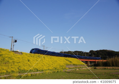 [883 Series / Limited Express Sonic] Spring romance, clear blue sky and rape blossom carpet 41009075