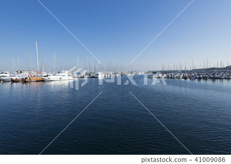 遊艇港 41009086