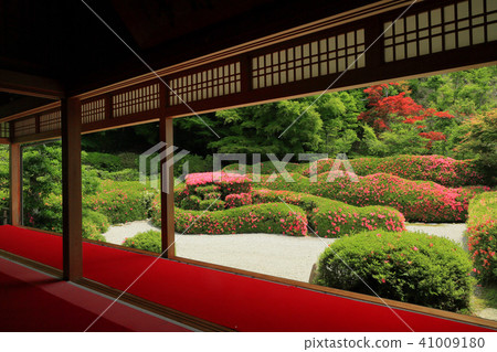 Otsukiji Temple with Satsuki bloom Otsukiji Temple with Satsuki bloom 41009180