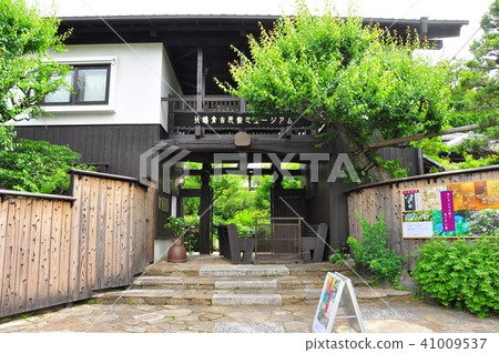 Kamakura City Kitakamakura Old Private House Museum Entrance and Fresh Green Kamakura City Kitakamakura Old Private House Museum Entrance and Fresh Green 41009537