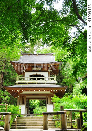 The mountain gate (bell tower gate) and fresh green (fresh) of Kita Kamakura Jodoji Temple The mountain gate (bell tower gate) and fresh green (fresh) of Kita Kamakura Jodoji Temple 41009538