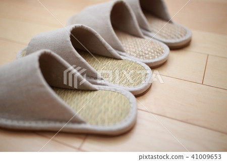 Slipper (entrance dwelling house single-family single-family flooring my home apartment condominium rental) Slipper (entrance dwelling house single-family single-family flooring my home apartment condominium rental) 41009653