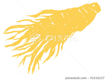 高麗人參水彩畫 41010237