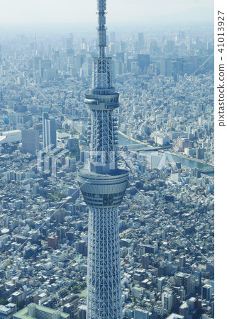 東京 41013927