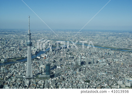 東京 41013936
