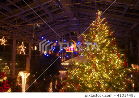 Hamamatsu Flower Park Christmas Illumination Hamamatsu Flower Park Christmas Illumination 41014493