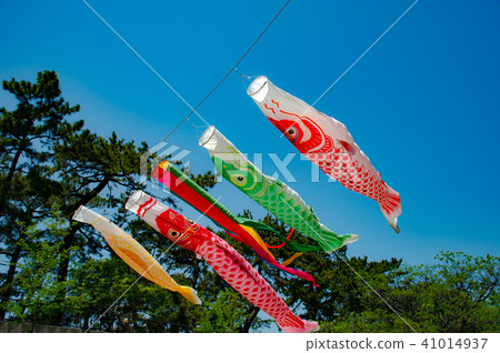 鯉魚飄帶游泳在Mukawa河 鯉魚飄帶游泳在Mukawa河 41014937