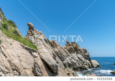 The head of Shima Himajima 41016368