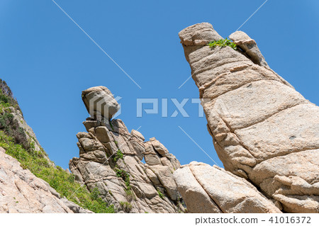 The head of Shima Himajima The head of Shima Himajima 41016372