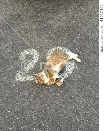 有人在看 41017343