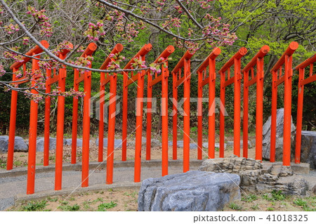 Red torii Red torii 41018325