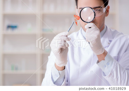 Expert criminologist working in the lab for evidence 41018929