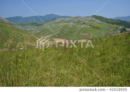 Akiyoshidai回到Ubare 41018930