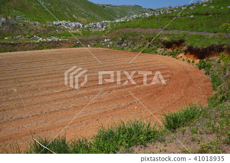 Akiyoshidai drine field of Ubare 41018935