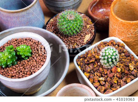 Ceramic bowls prepared to use for houseplant pot Ceramic bowls prepared to use for houseplant pot 41019363