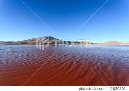 Laguna Colorada view, Bolivia 41020301