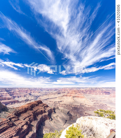 South rim of Grand Canyon 41020806