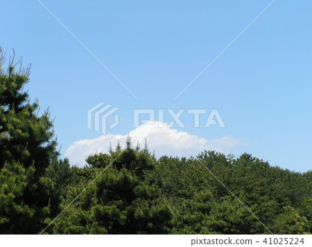 Blue sky and white clouds in early summer 41025224