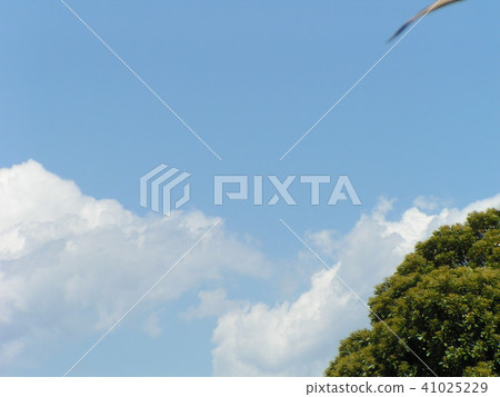 Blue sky and white clouds in early summer 41025229