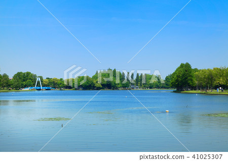 A young leave of Mizumoto Park, a fresh green and a landscape reflected on the surface of the water 41025307