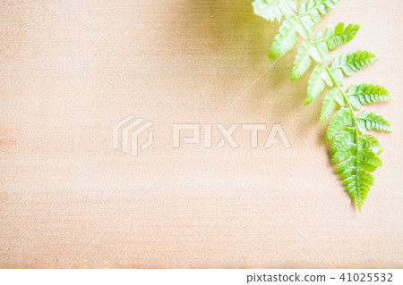 背景材料·木紋和蕨類植物 41025532