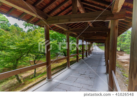 Kyoto New Greenery Tofukuji Corridor 41026548