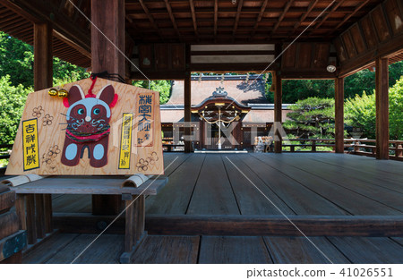 Umenomiya Taisha 41026551