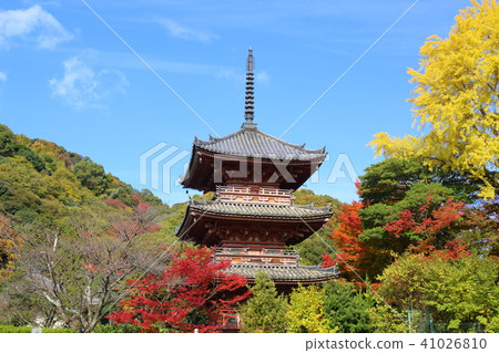 Takaraga-ji Temple in Kyoto Autumn 41026810