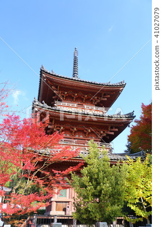 Takaraga-ji寺廟在京都秋天 Takaraga-ji寺廟在京都秋天 41027079