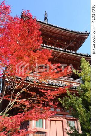 Takaraga-ji Temple in Kyoto Autumn 41027080
