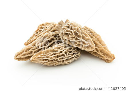 Amigasatake: morel mushroom 41027405