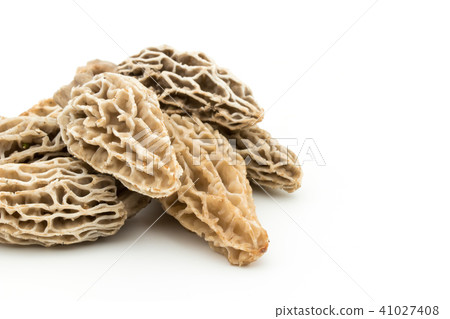 Amigasatake: morel mushroom 41027408