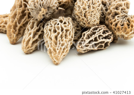 Amigasatake: morel mushroom 41027413