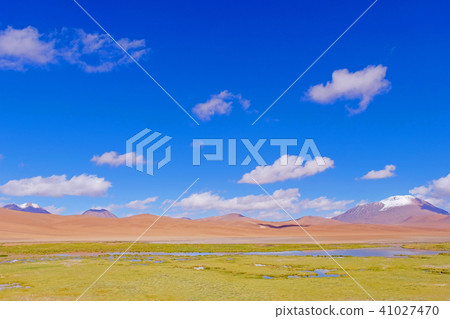 Beautiful landscape with puna grassland, snow-covered mountains and lagoon, near Paso De Jama, Chile 41027470