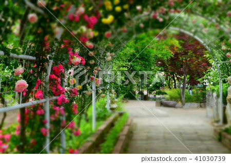 Herb garden travel diary rose garden Herb garden travel diary rose garden 41030739